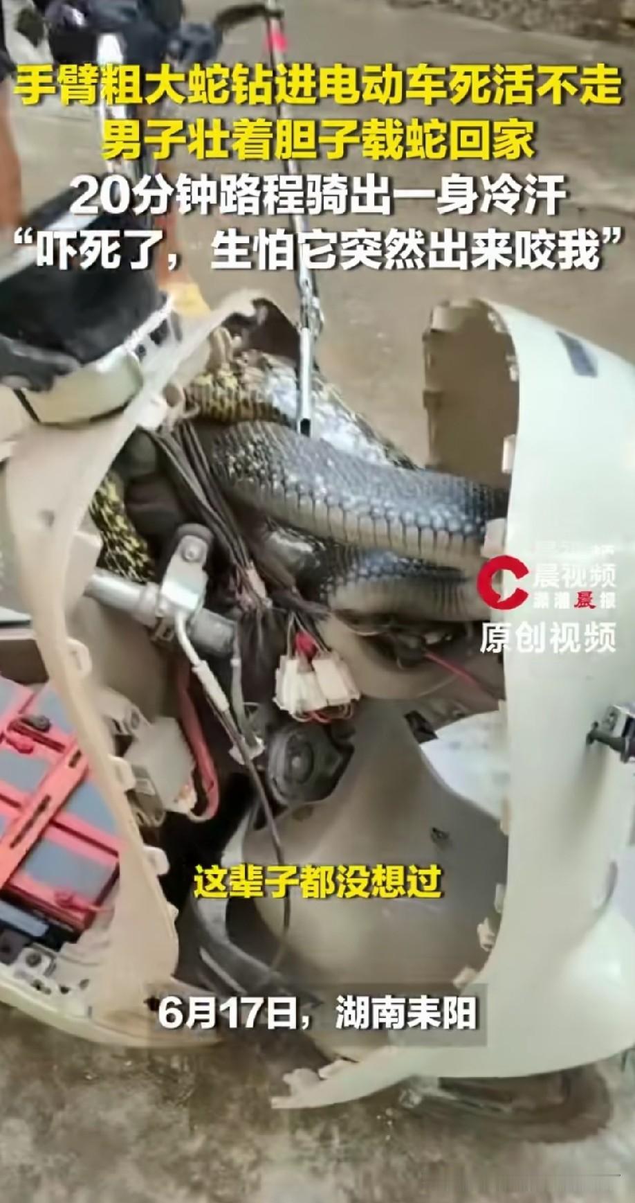 狠人啊，换我车都不要了。蛇大哥车送你了
