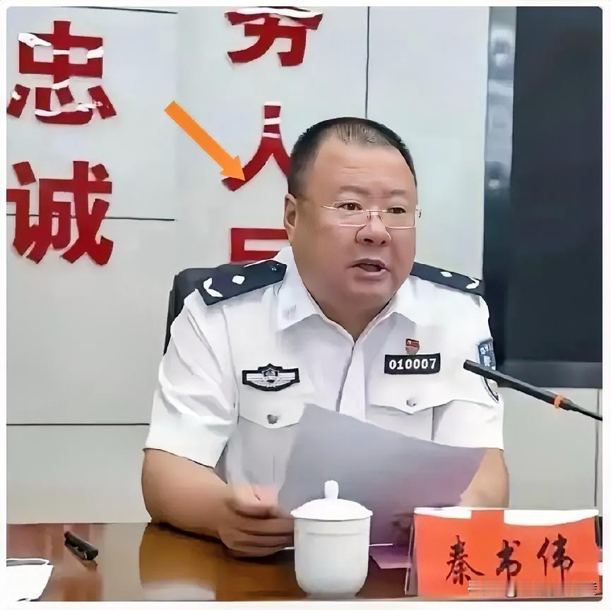 这副“肥头大耳”的尊容，配上一身制服，看着真让人觉得讽刺。秦书伟，堂堂市级一