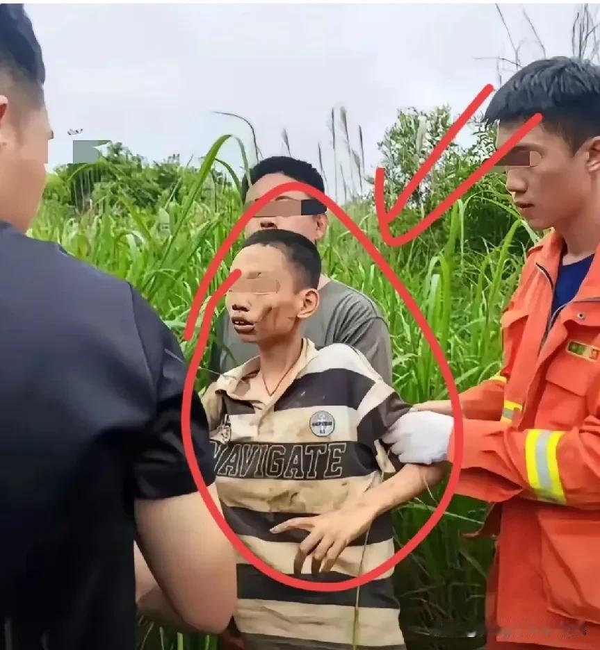 眼泪止不住了200人找5天，无人机警犬全出动，最后全靠妈妈不肯认输谁看完
