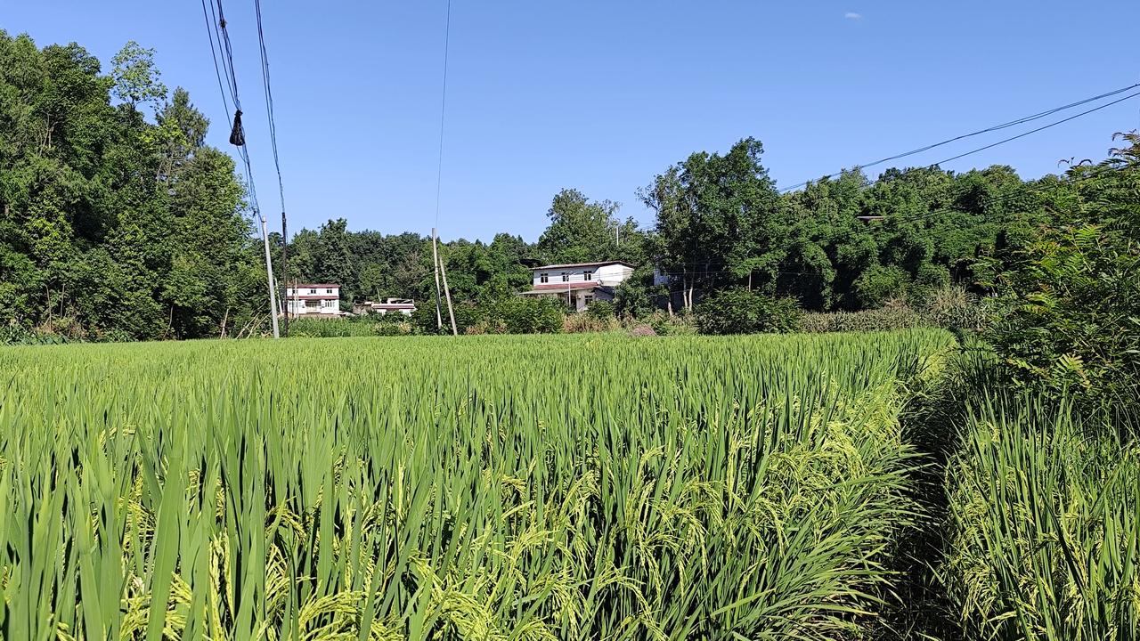 晒图笔记大赛乡村风景欣赏分享自然风景照片