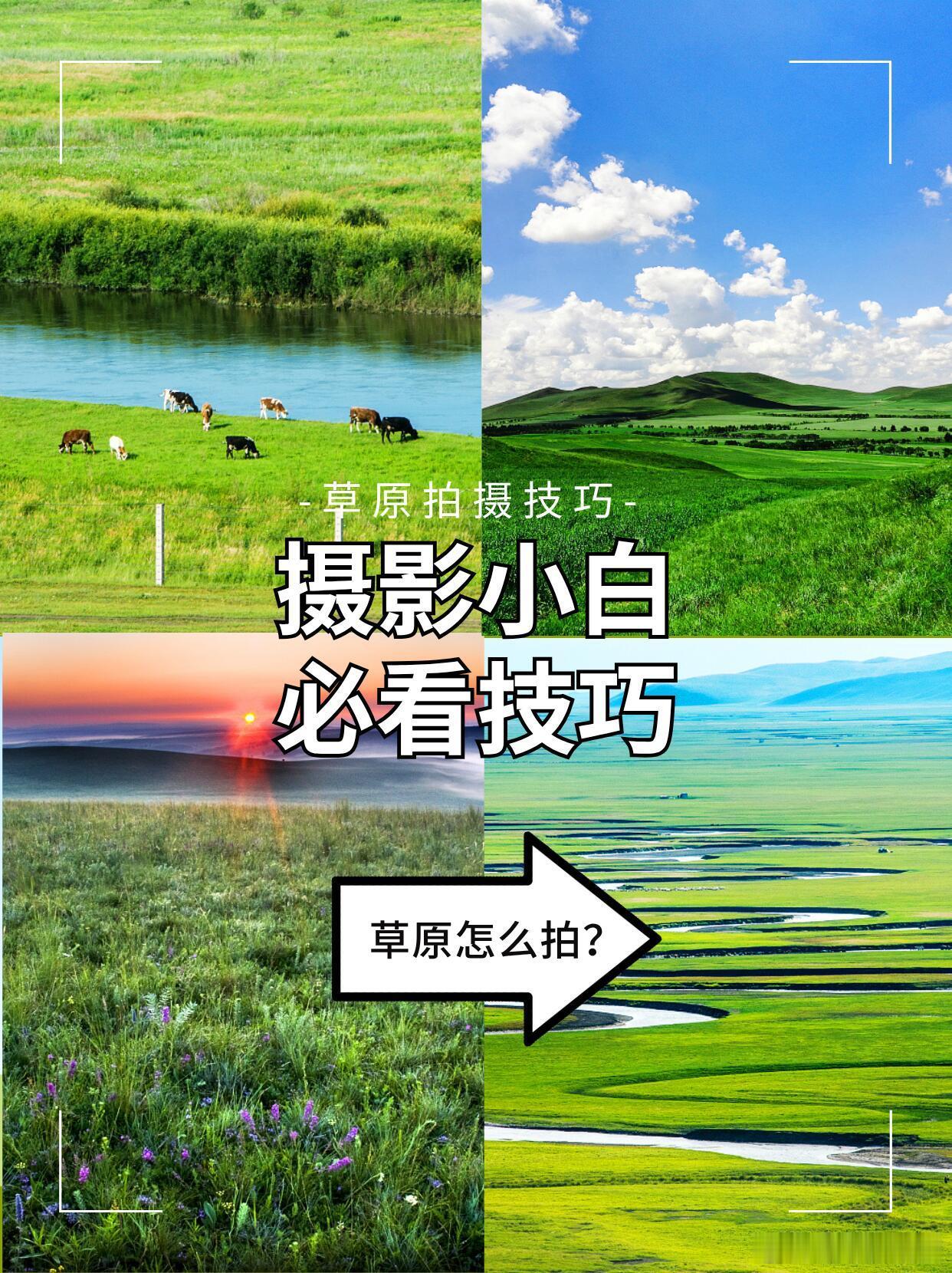 摄影技巧拍照姿势草原拍照全攻略，从时间到构图一次讲清！🌿 谁不想在夏日草原，