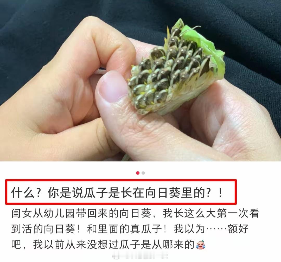 她肯定也不知道毛豆长老了就是黄豆​​​