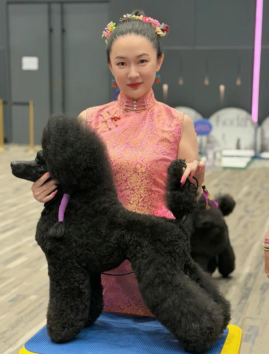 霍思燕没在娱乐圈混了，开始混狗圈了，最近她去泰国，参加国际狗狗选美比赛，