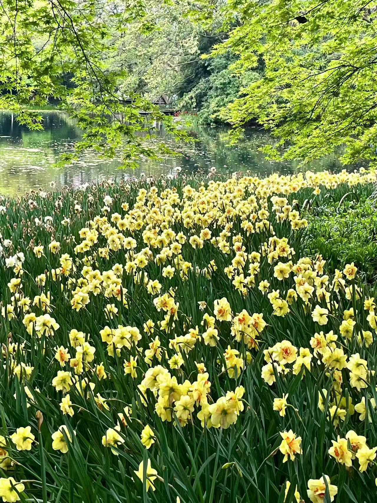 杭州乌龟潭｜西湖秘境🌿春日美景攻略！