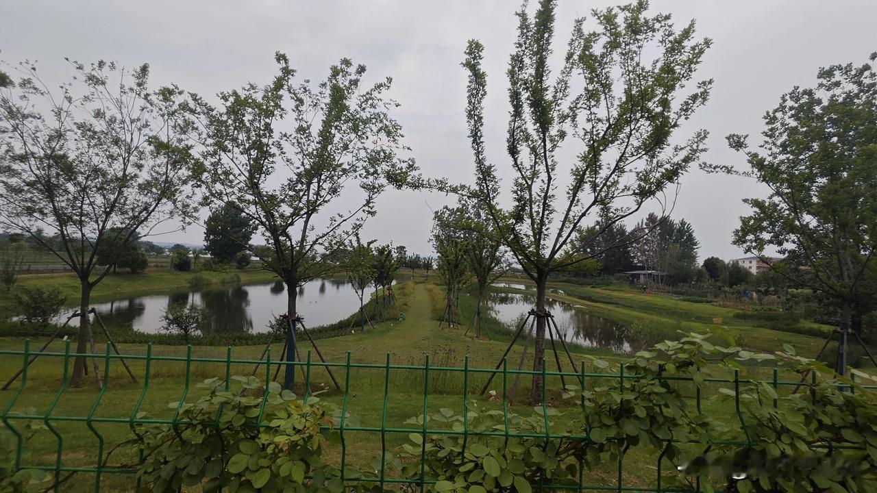 记录我的2026武汉盘龙城，北面腾龙大道建设的2座公园，可以有一个不让进