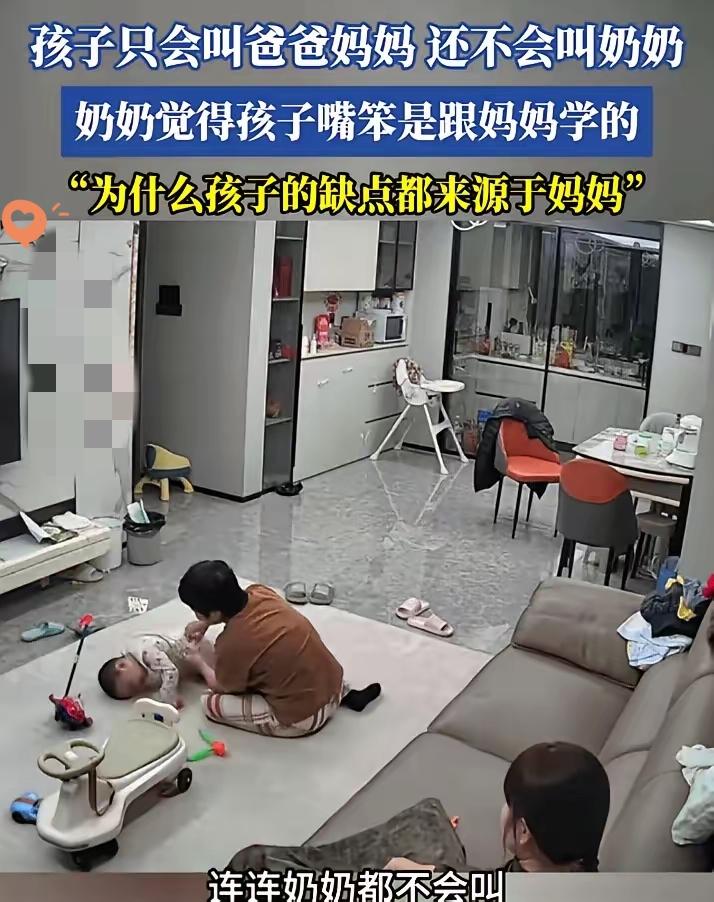 河北一婆婆嫌孙子不会叫奶奶，阴阳怪气说孩子笨，结果被儿媳当场怒怼，不仅维护