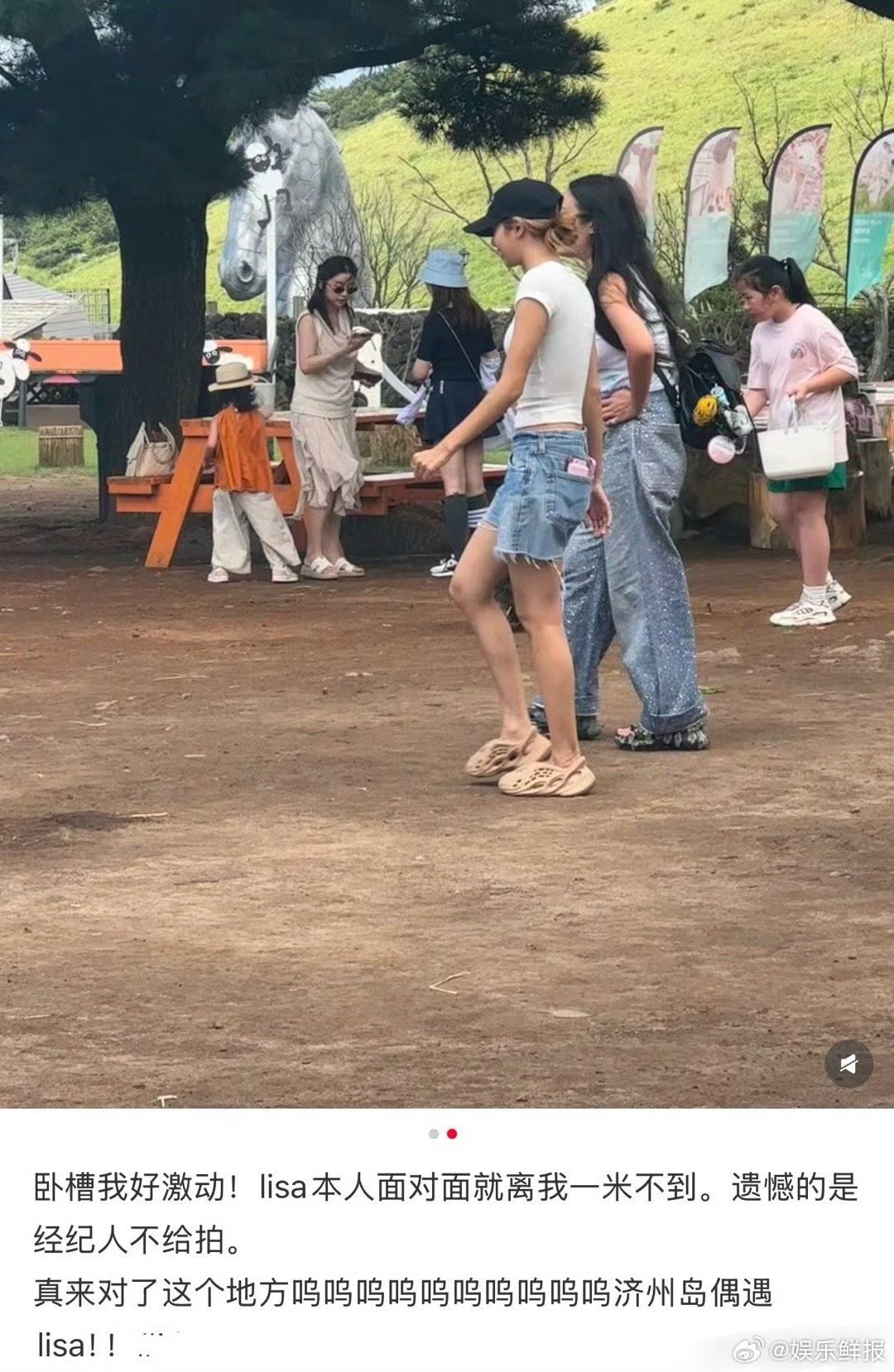 济州岛偶遇Lisa网友济州岛偶遇Lisa网友济州岛偶遇了lisa，啊啊啊啊啊啊好