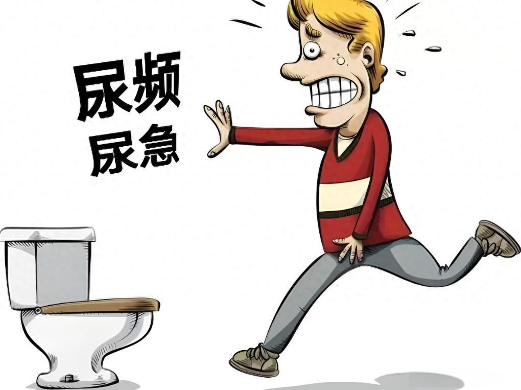 白天尿频要补气，晚上起夜要滋阴！两个方子一用就稳提示：本内容仅供健康科普，不作