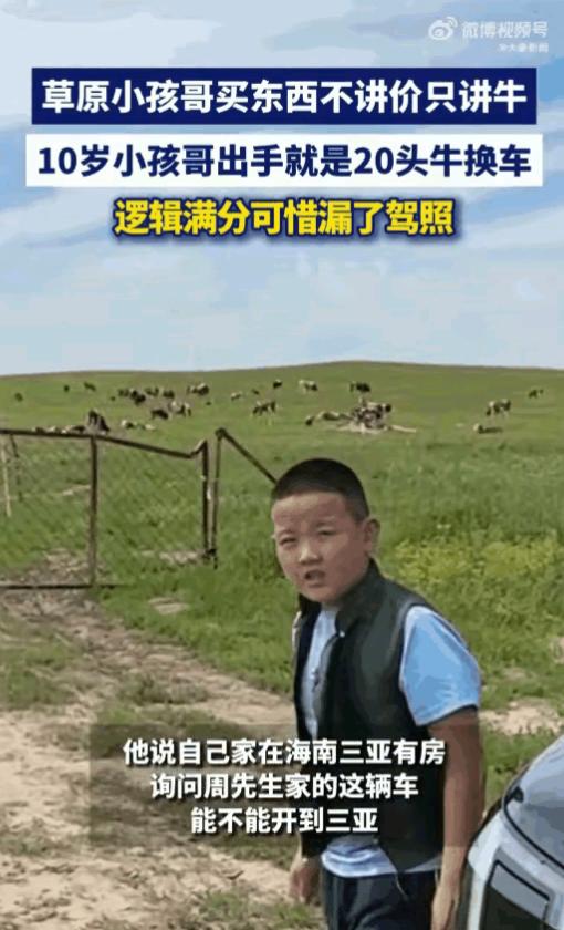 养牛这么挣钱吗？内蒙古赤峰，一个10岁的牧区“小孩哥”在草原上拦下一家游客，当着