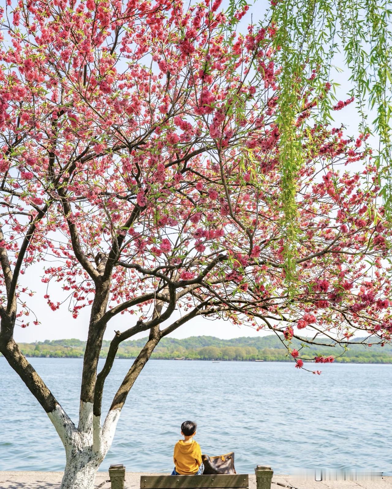 不要相信网上的毒鸡汤我朋友有15年没上班了几乎没有朋友没有社交圈每天早上做
