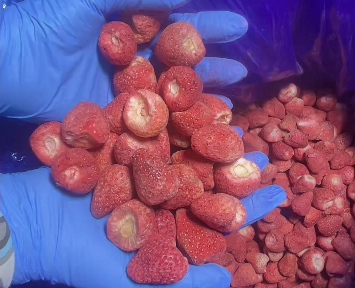 3月14日，据媒体调查报道，记者在云南省楚雄州永仁县、曲靖市会泽县部分草莓种植园