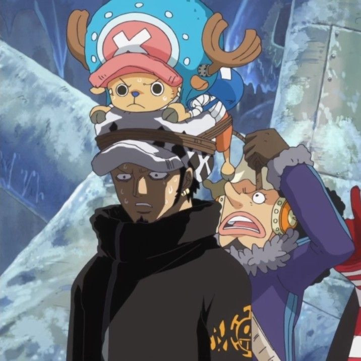 海贼王海贼王习惯就好了哈哈哈哈哈哈哈