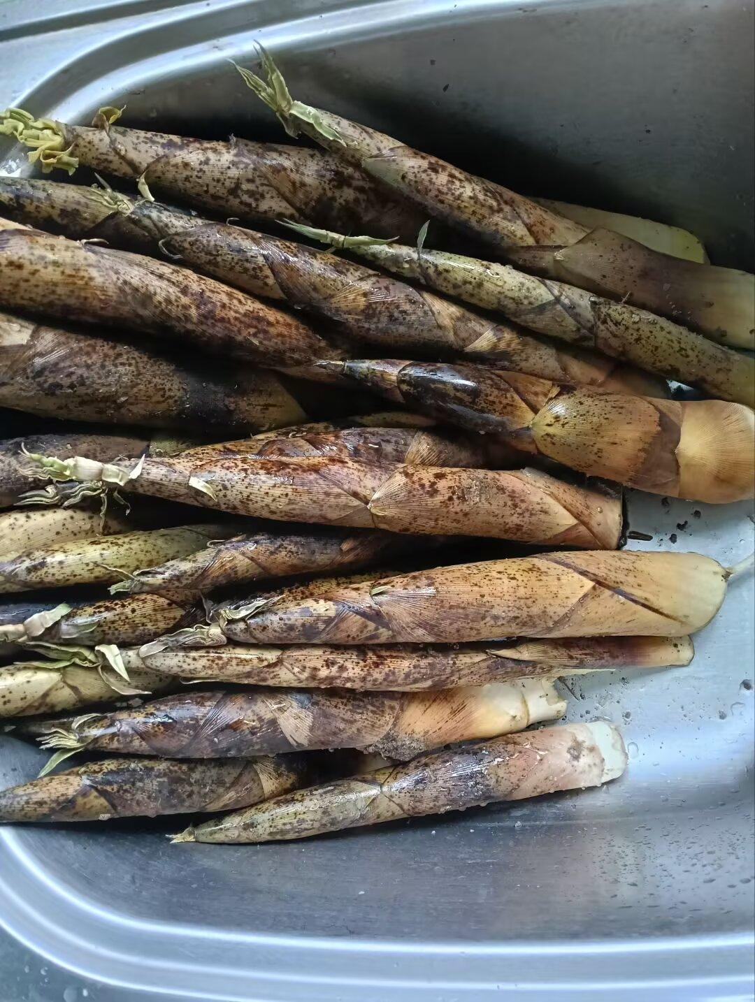 这是家人晒出来的图片，江南乡村私家竹园里的竹笋（晚笋）……挖起，清理，焯水