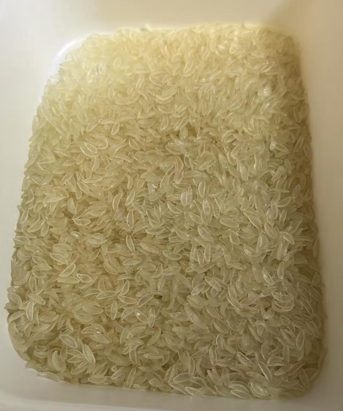 这是什么大米啊