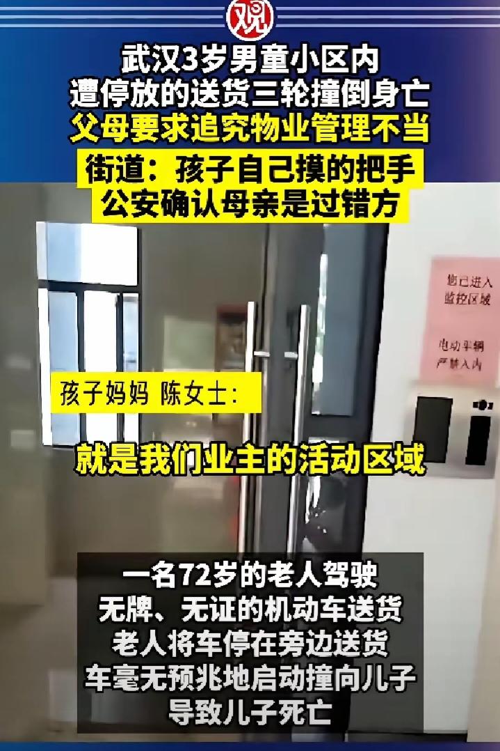 武汉这事儿看得我脊背发凉。3岁的孩子，就在自家小区，没了。起因竟然是那个送货的7