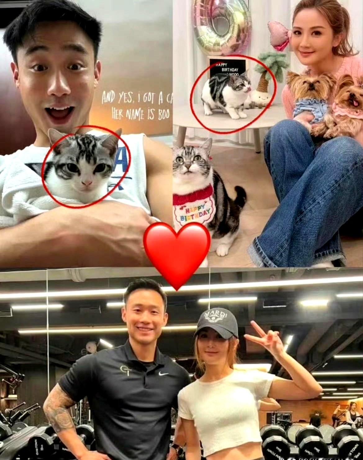 几张小腹隆起的现场图，直接把43岁的蔡卓妍推上“疑似怀孕三个月”的风口。她套着一身灰色衣服现身，腰间