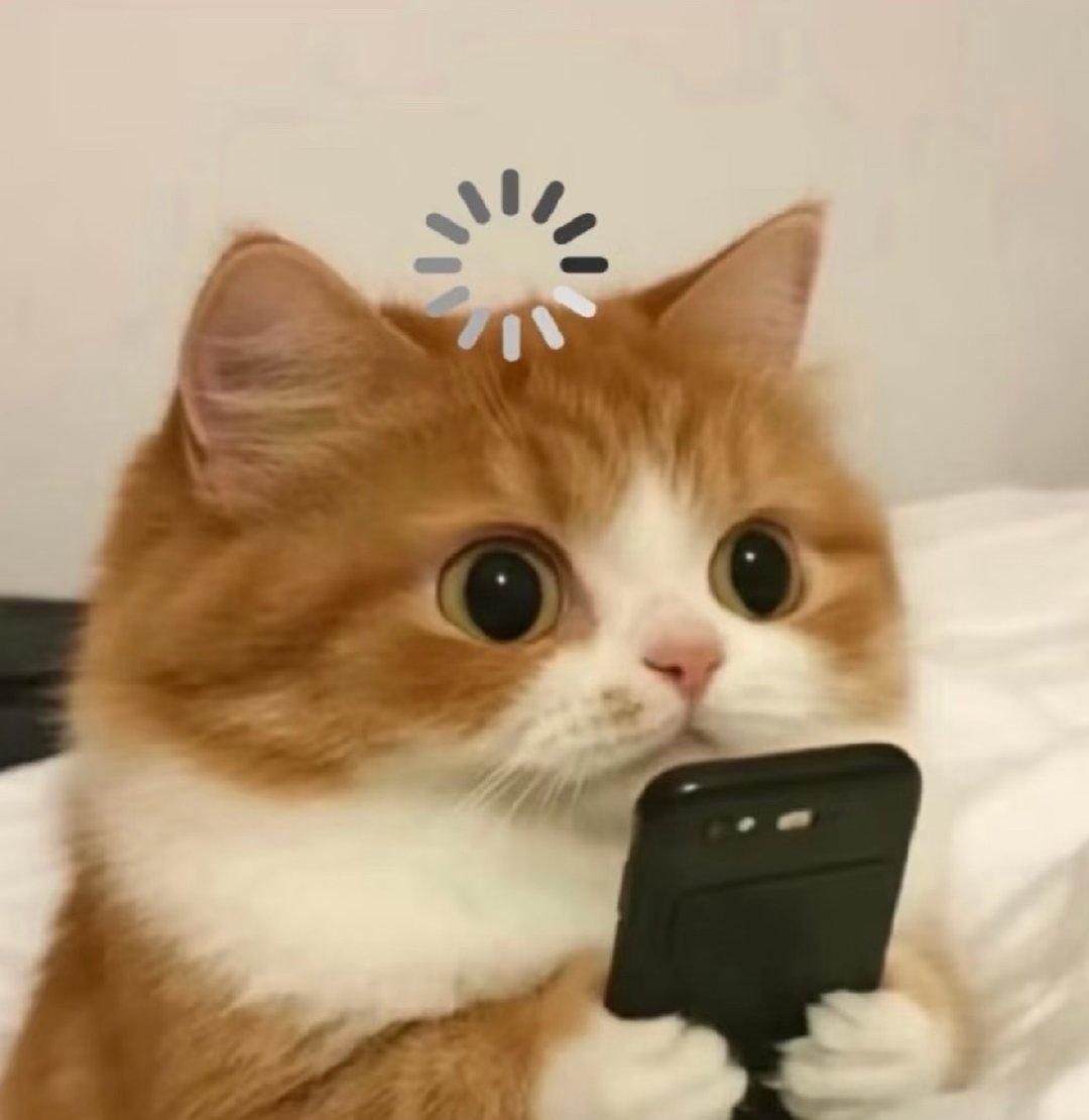 这事儿听起来像是电视剧里的桥段，但偏偏就在现实生活里上演了。亲母女俩，先后嫁给了