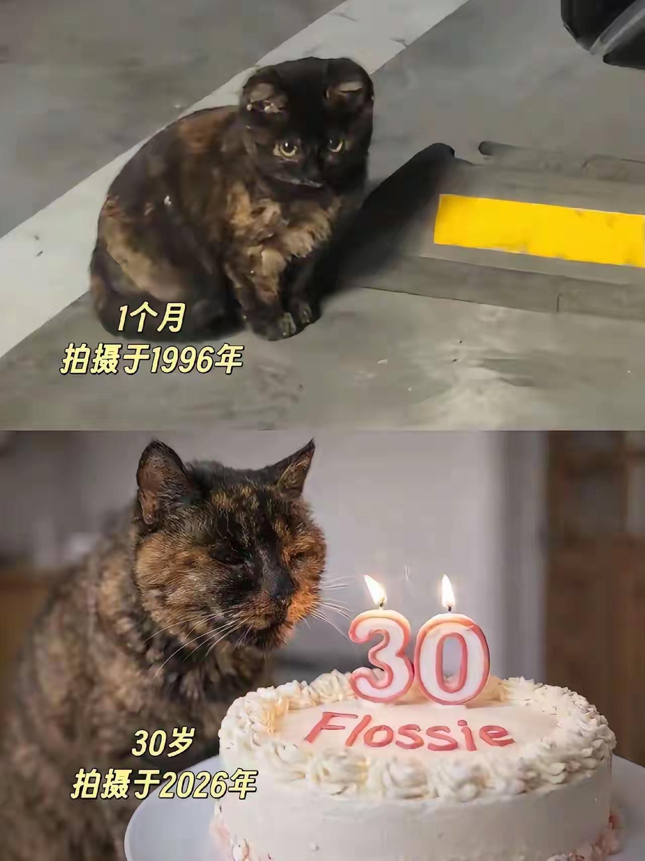 看画质就不是96年拍的呀
