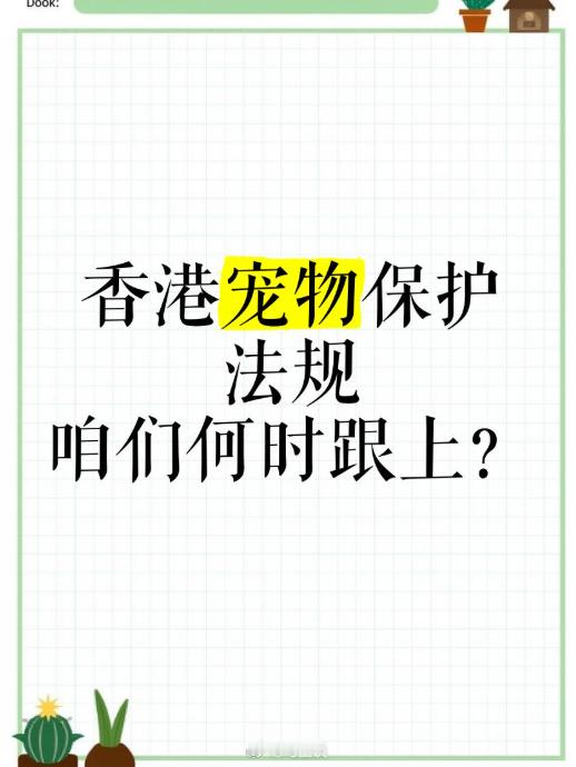宠物保护法规可以跟，香港养狗法律法规更可以学。香港规定，遛狗不牵绳罚款10000