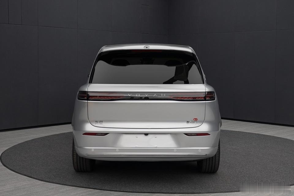 盲猜一下，在岚图泰山卖得那么好的时候，相信他们也不想泰山8那么快曝光不过没办法，