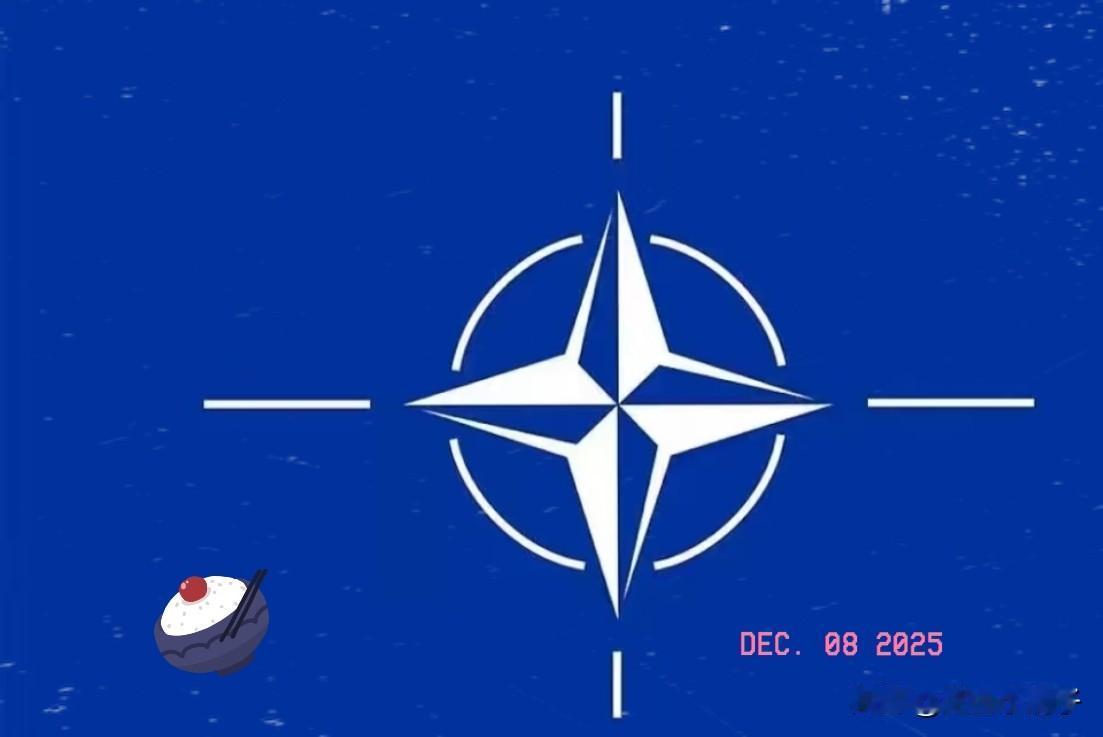 打了三年，家底打光了打没了你年轻的底气和热血。换来的只是北约秘书长一脸冷冰冰