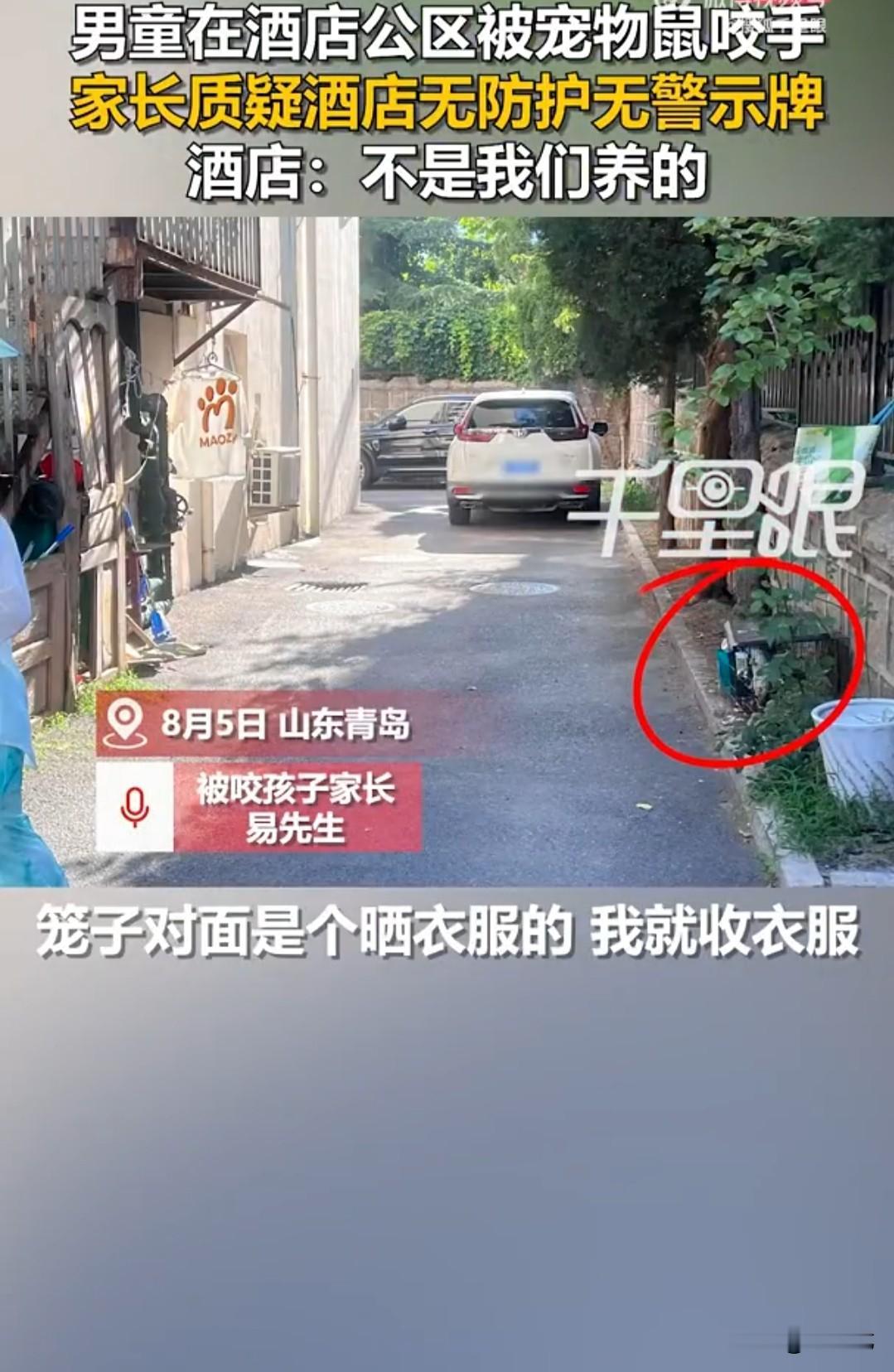 8月5日，入住青岛某酒店的游客易先生，去酒店一楼门外收晒着的衣服。看到对面墙根