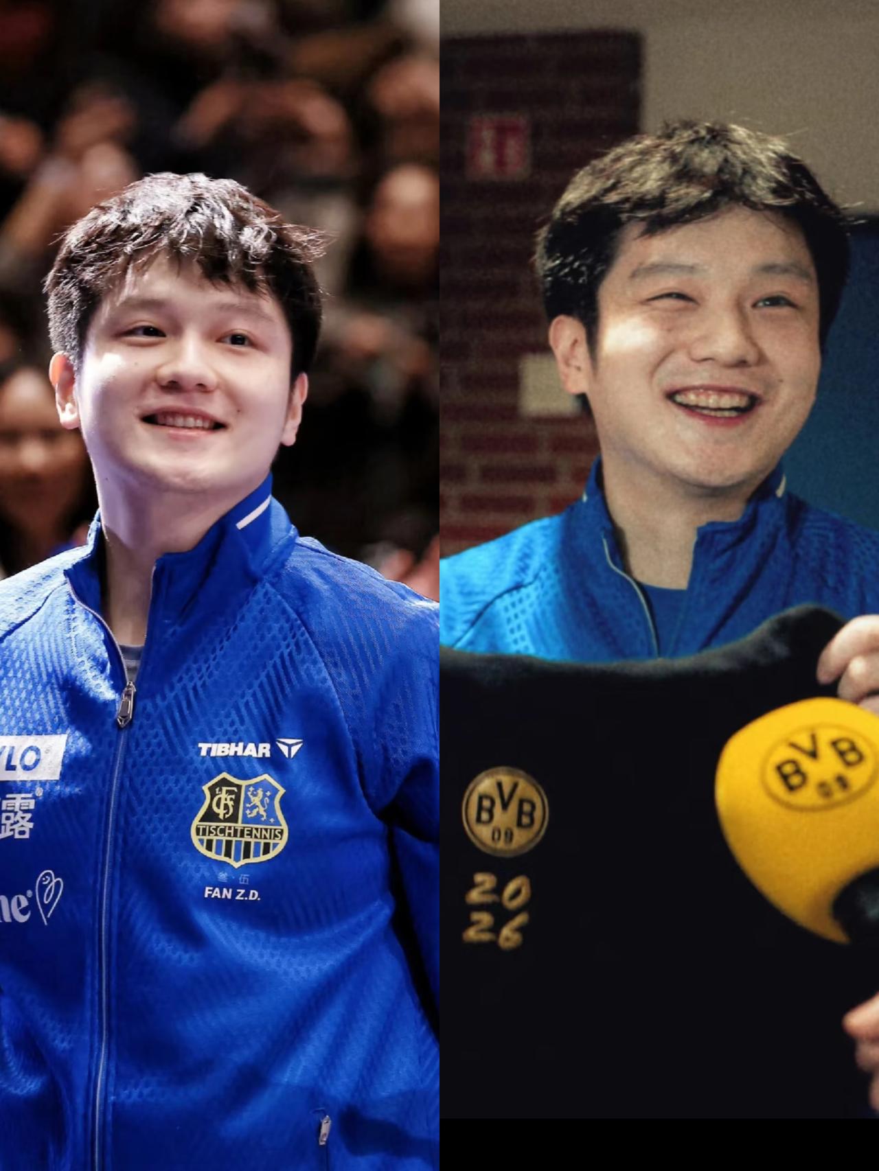 别吵了。吵了半年，名单定了。一纸公示，樊振东的名字，靠的是2025年