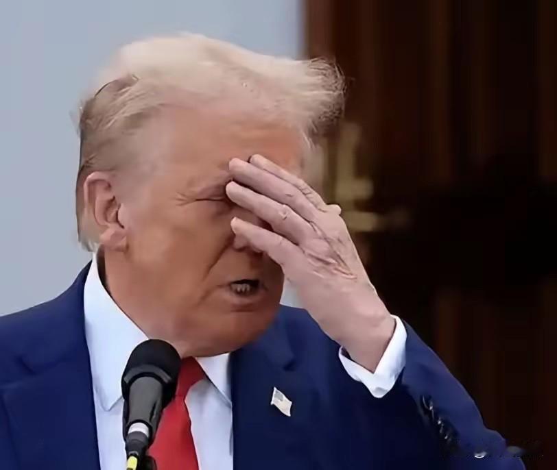 终于来了！特朗普开始对中国下狠手！8月6日，特朗普签了份文件。他给中国的光伏