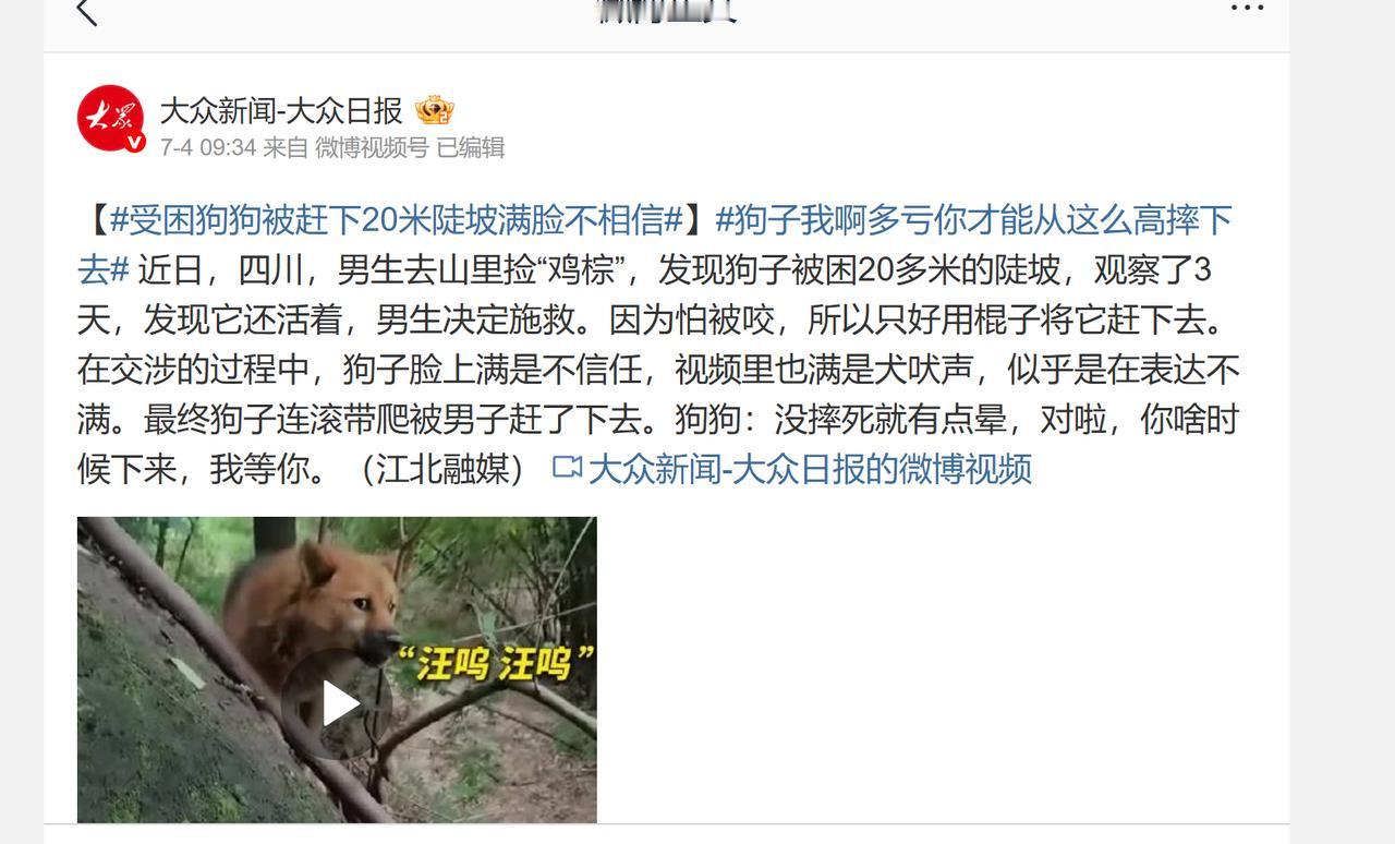 四川，一名男子在进山采摘菌子时，竟然在同一个陡峭的山腰上连续三次发现了一只被困的