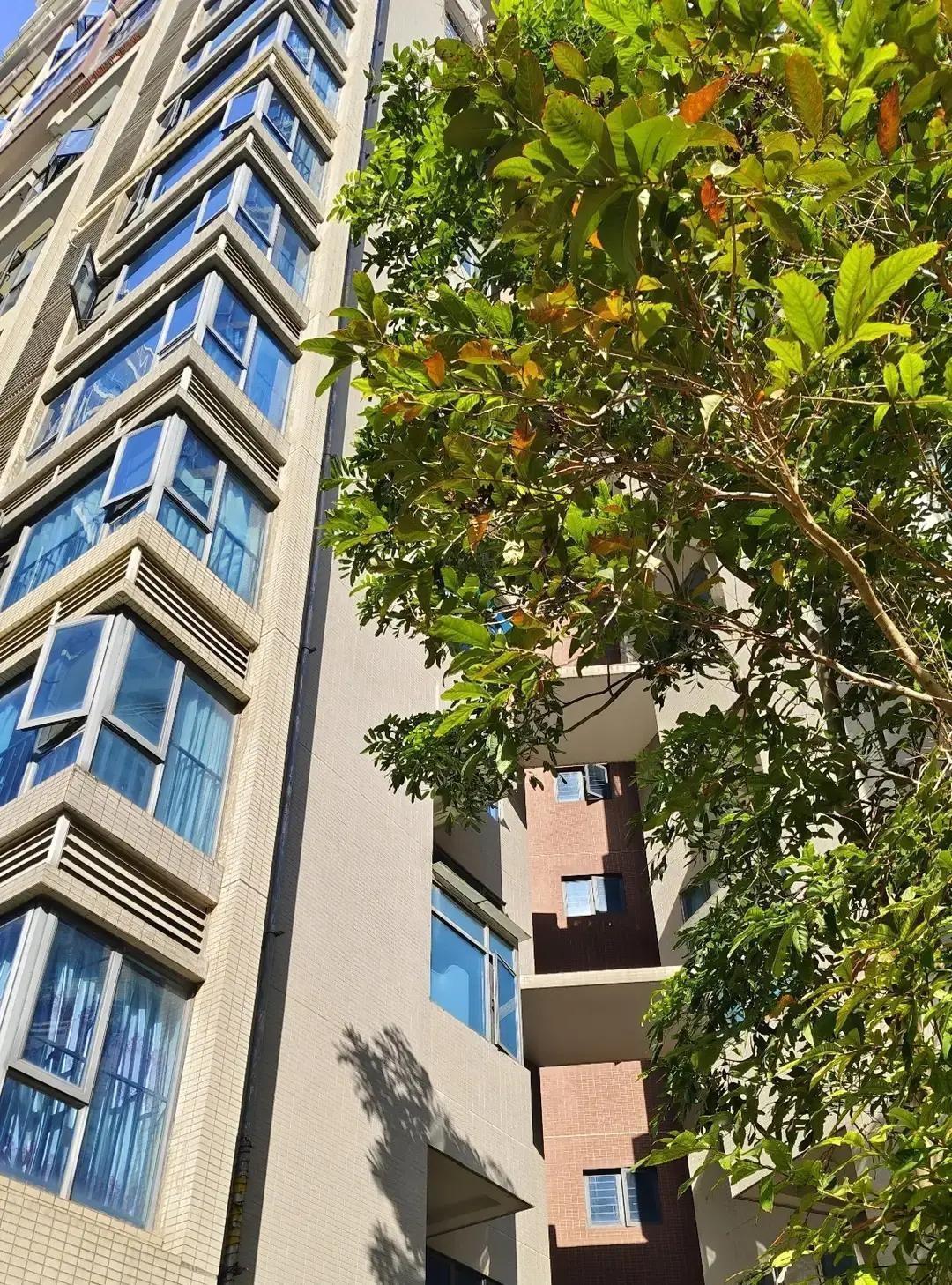 深圳一套房从五百万跌到四百万，网上一片欢呼，我刷到却笑不出来。我表弟在龙华上班