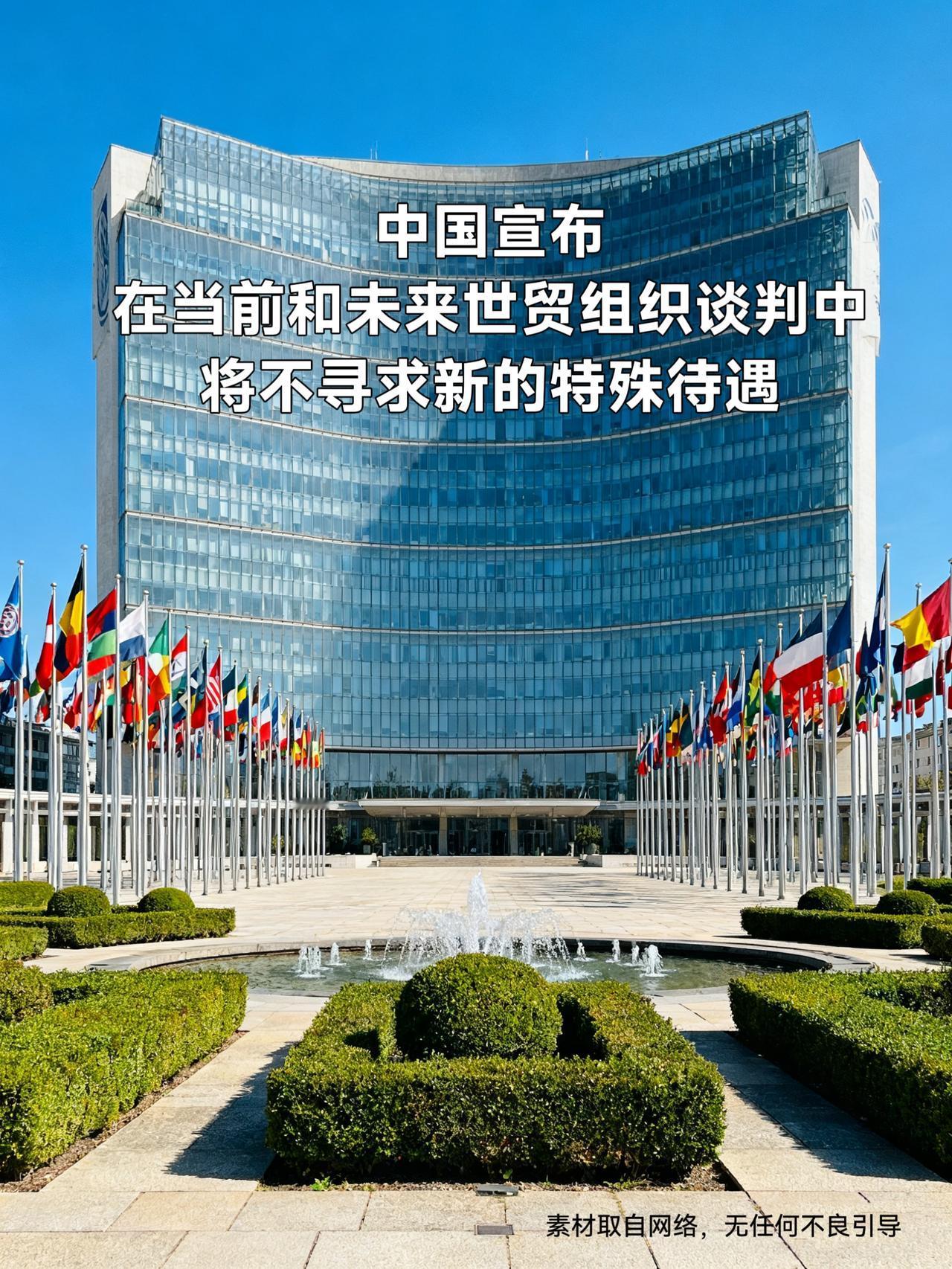 “入世”24年首次！中国主动“退特权”，不是不做发展中国家注意了！中国刚干