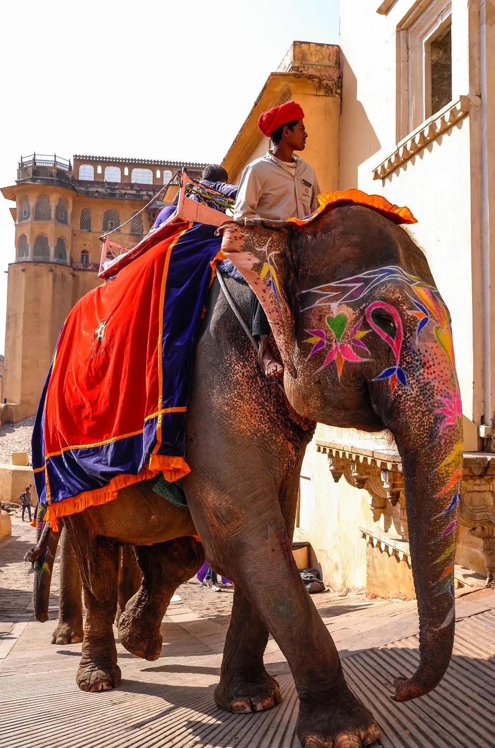 印度克制下吧，宁愿停工也别买中国设备！环球时报2月20日报道，政府官员告诉路