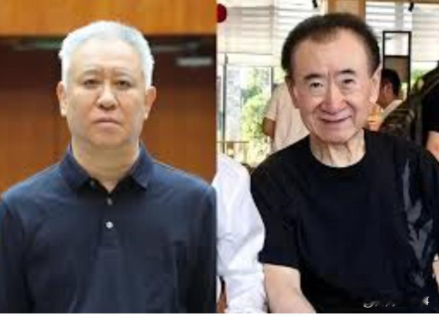 首富榜真是的杀猪榜啊。两任首富，许家印进去了，王健林枯萎了，许家印俩儿子也跟着进