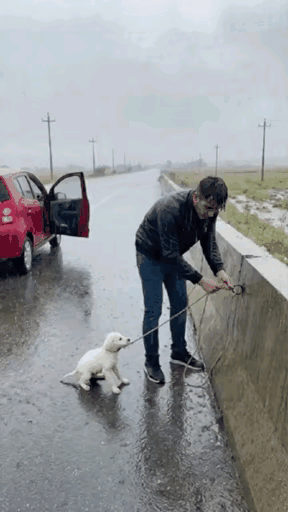 一位小哥哥开着车去办事，可当他开到一条城乡公路的时候，却看到了令人愤怒的一幕。