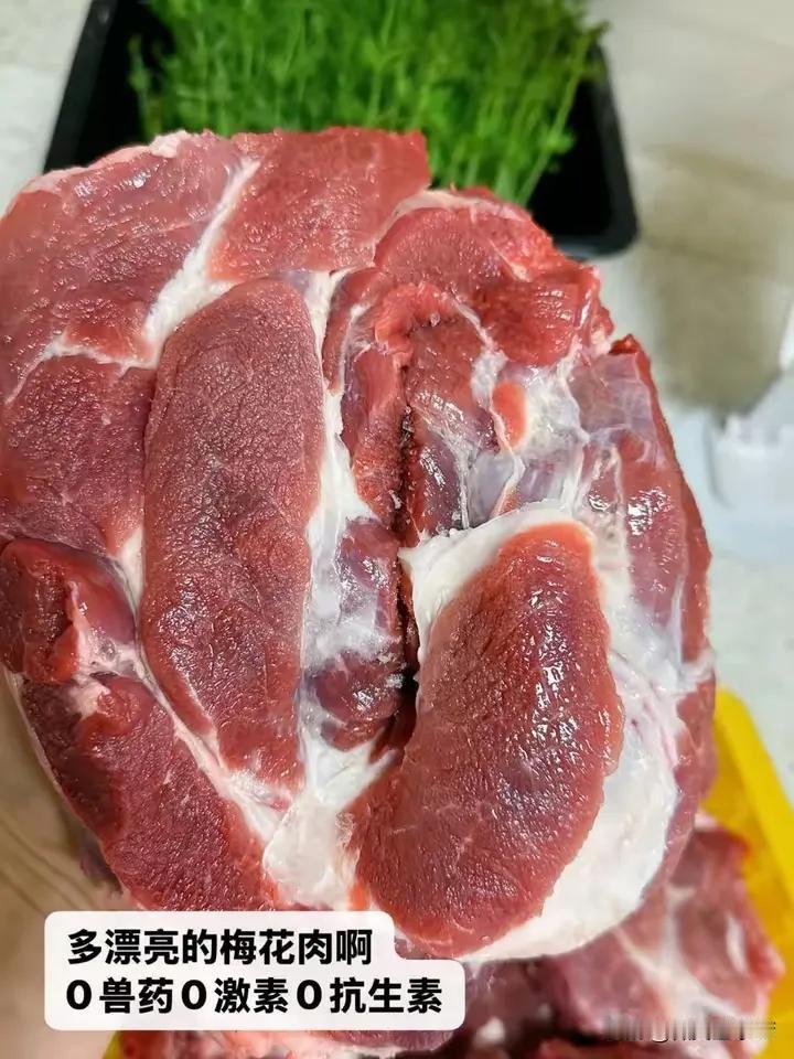今天买了两斤肉准备包饺子我奶说这一看就是饲料猪肉颜色太红了你们帮我看看