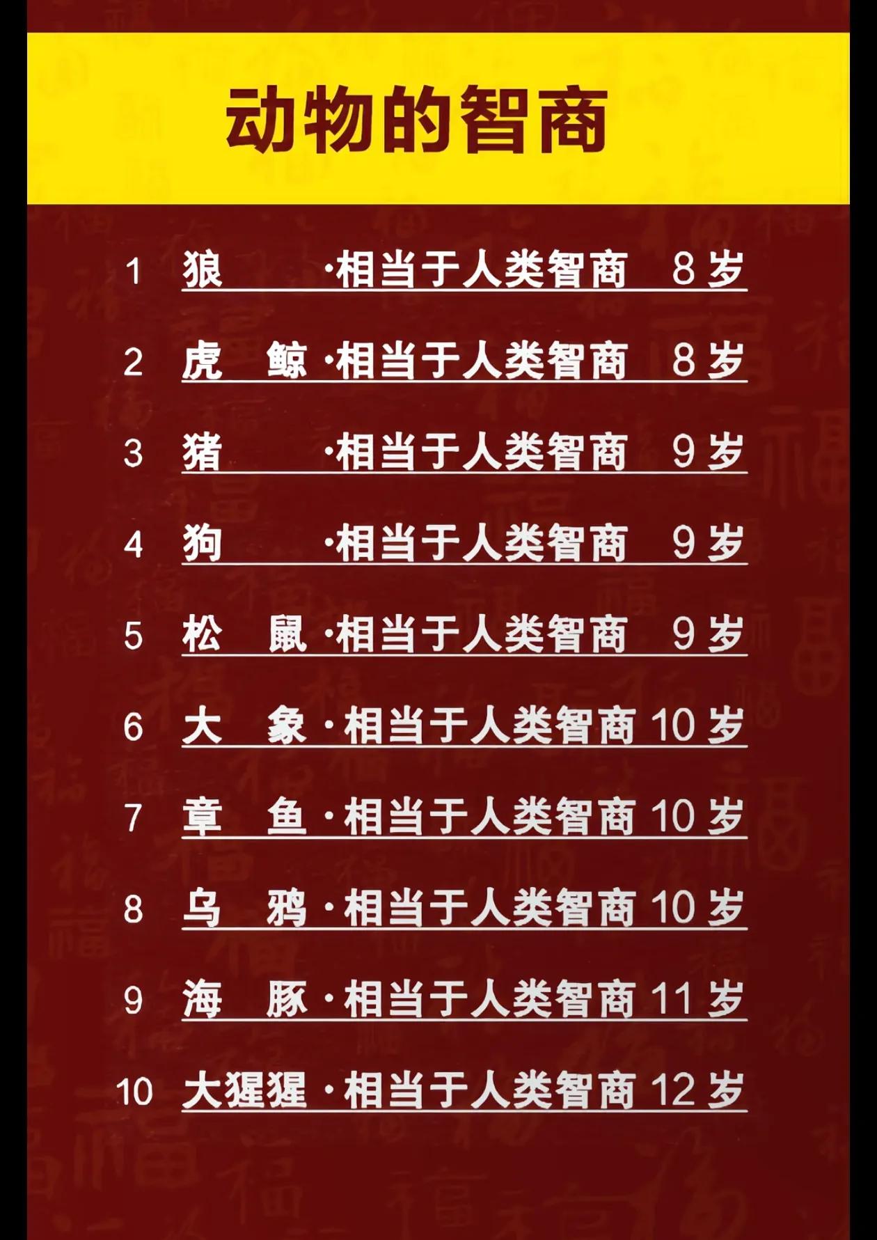 拿动物的智商和人类比，简直就是瞎胡扯了！