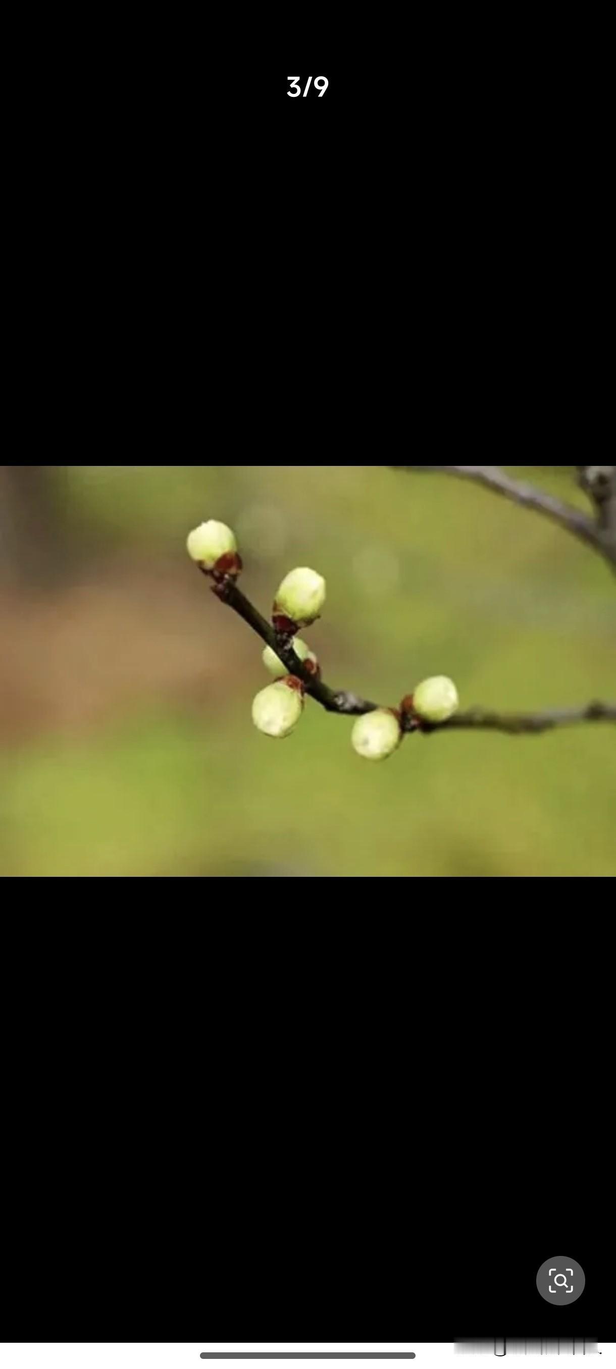 难以想象也难以理解！现在的人不知道是怎么想的。只要有人呼吁给农民提高养老金，立