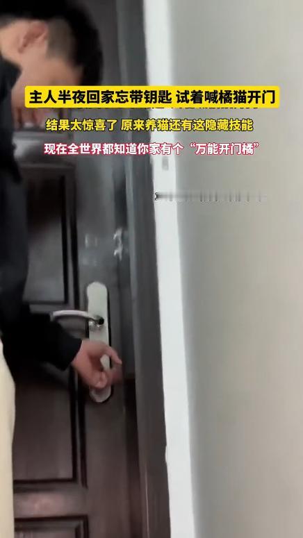 “太有灵性了！”近日，广东，一男子晚上回家时，发现忘记带钥匙了，就在他准备叫开锁