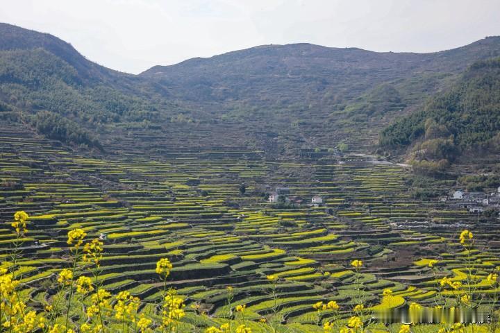 八十年代春节，走亲戚是一种什么情形？我一大学同学，浙江上虞人，那时候上虞还是一