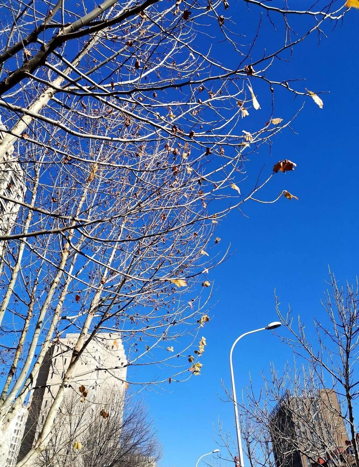 庆功宴上，他们可能一句话都没说。但三个小时前，他们刚刚捧起了新加坡大满贯的混双