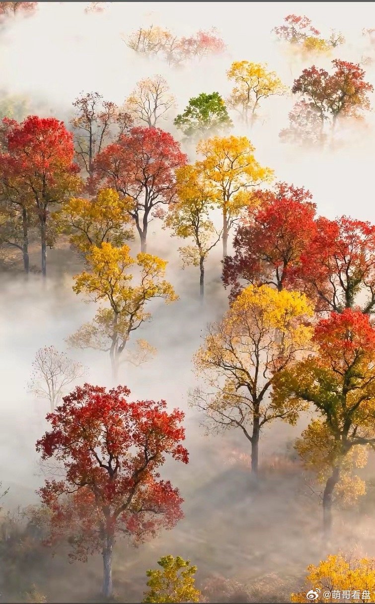 下一周股市预测先抑后扬，周初调整一下，周四周五冲高，再次挑战4025，周五站上4