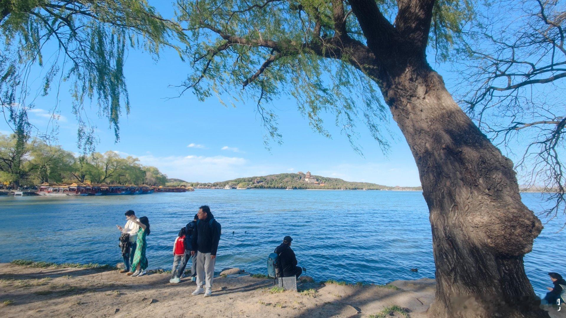 颐和园人间最美四月天摄影