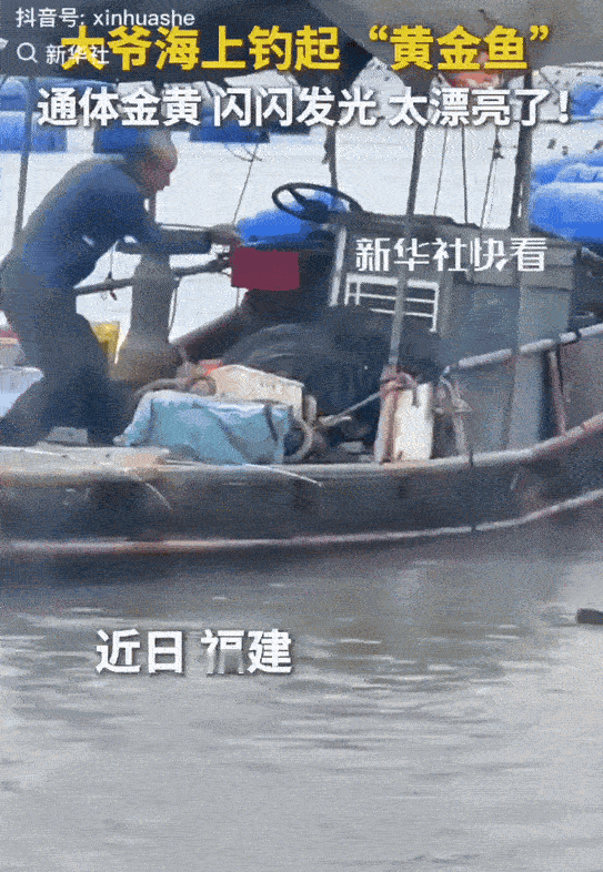 福建，一个大爷坐在船上钓鱼，突然他感觉到鱼钩动了，随后看到一个金黄色的影子。他慢