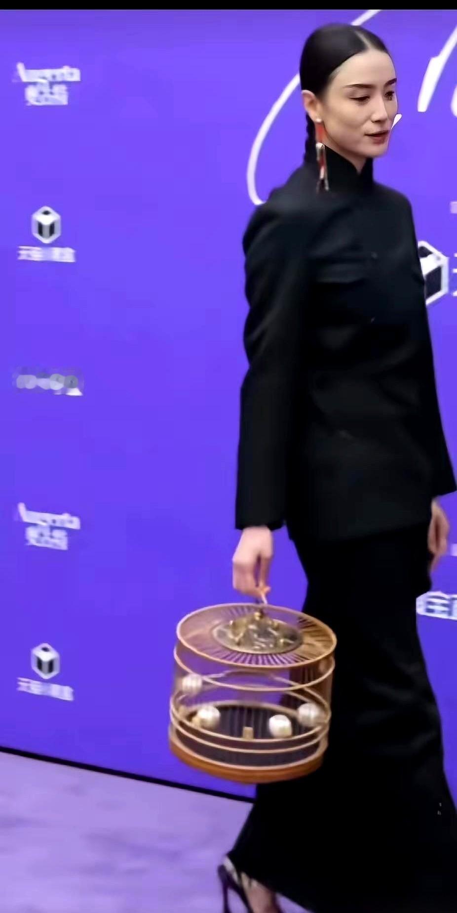 我刷到小宋佳那张照片的时候，愣了三秒。提个鸟笼子，脑后一根细细的辫子……姐，