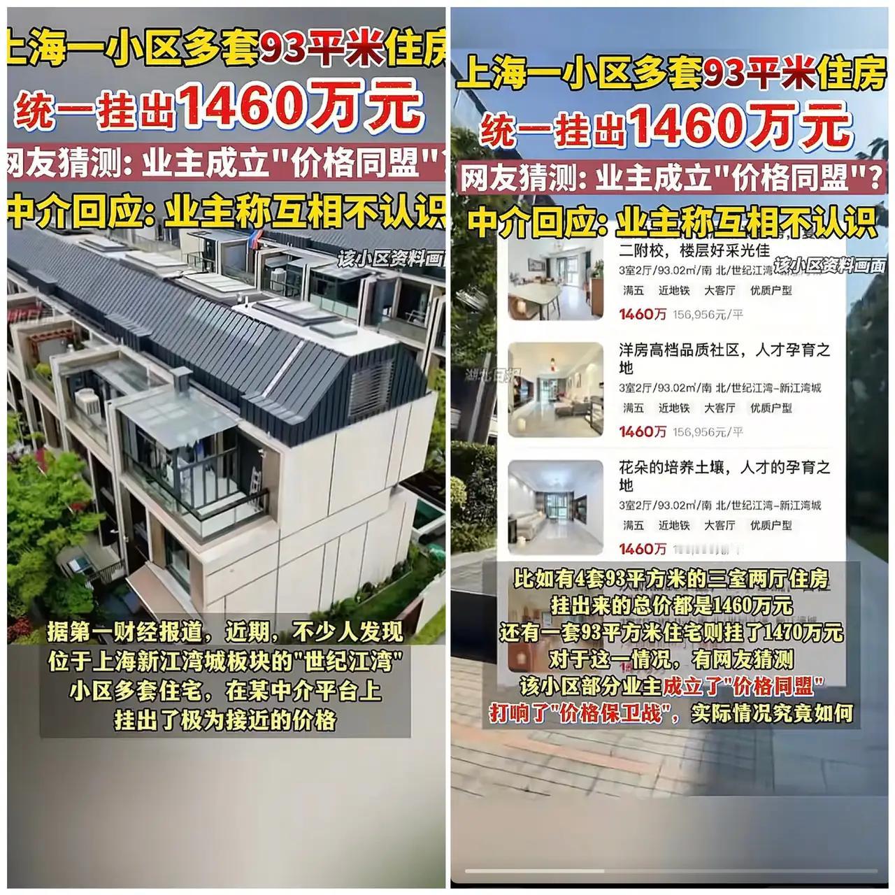 上海icon某小区突然冒出多套挂牌价惊人的房源，清一色93平米标价1460万，这