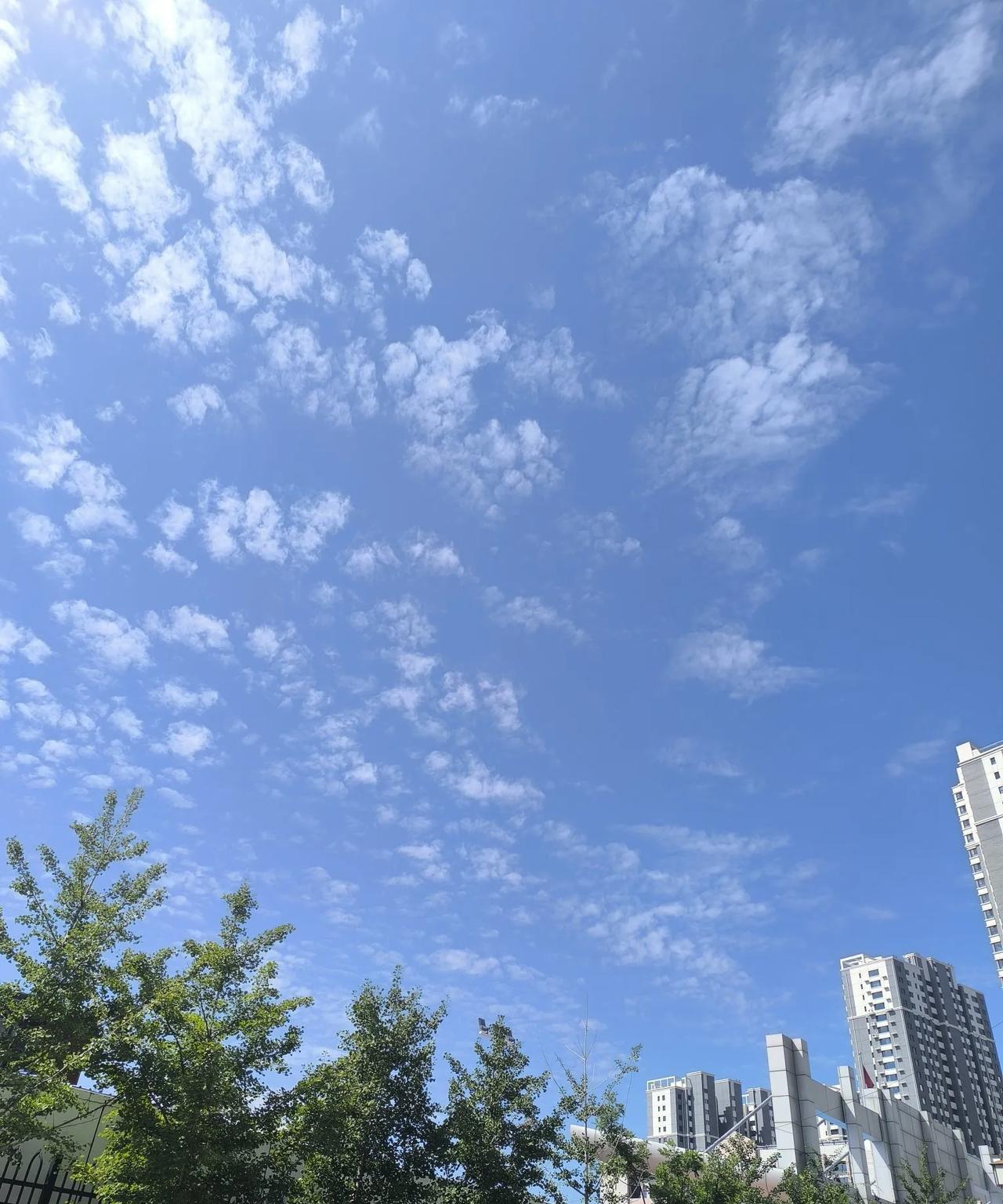 前几天在一个平台上刷到了一个殡仪馆火化师的视频说人活着争这个争那个一