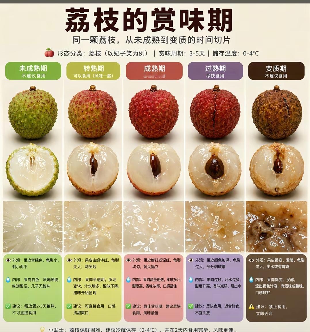 荔枝从未成熟到变质的各种时期[狗头]