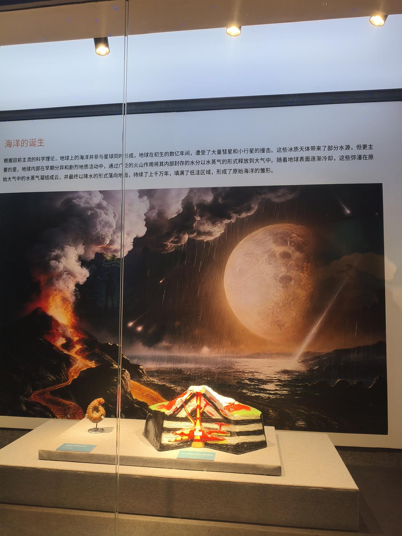 海洋生物，看上去还不错吧？