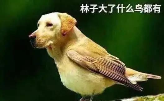 人啊！不自重。