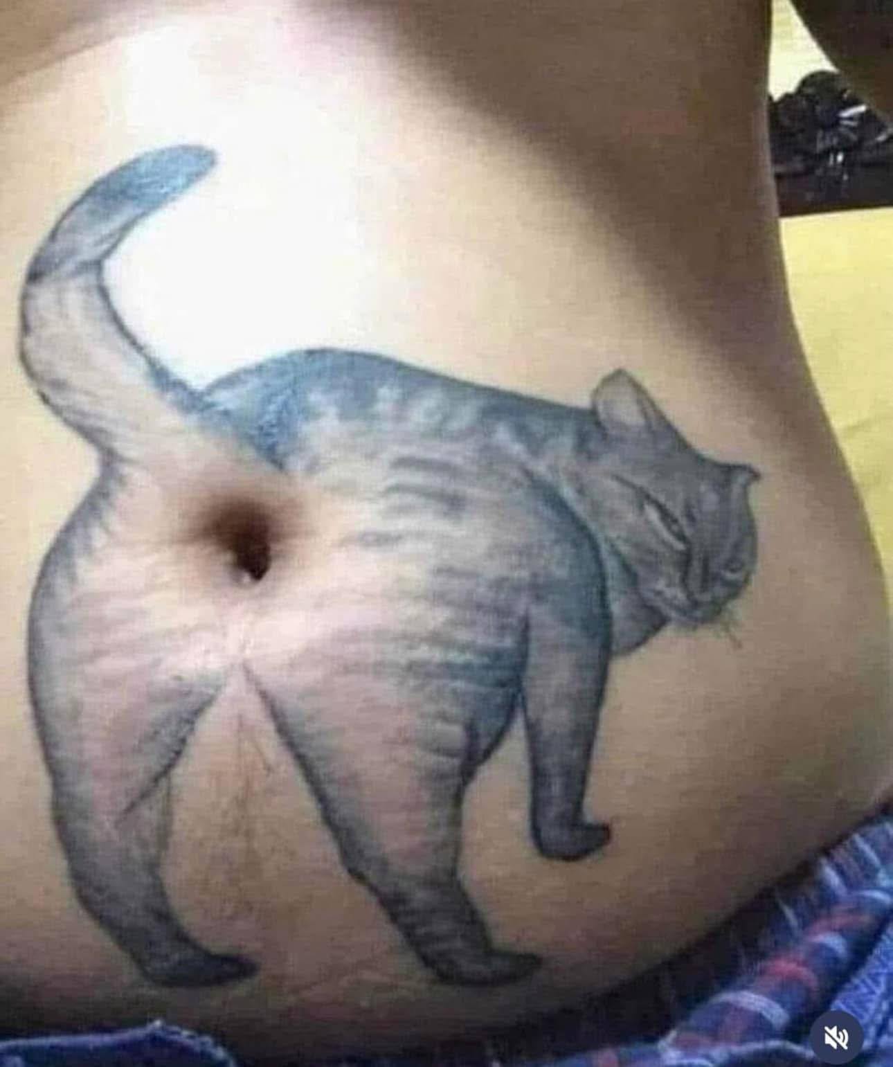 猫奴们想不想纹一个同款？[doge][doge][doge]​​​